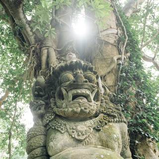 Mythical rainforest wallpaper