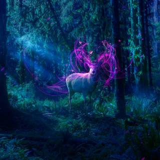 Mythical rainforest wallpaper