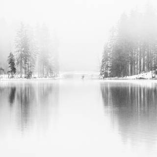 Fog winter wallpaper