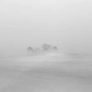 Fog winter wallpaper