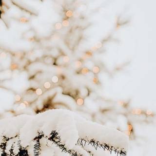Christmas winter phone wallpaper