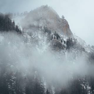 Fog winter wallpaper