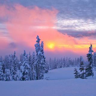 Winter poster wallpaper