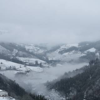 Fog winter wallpaper