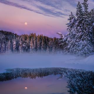 Fog winter wallpaper