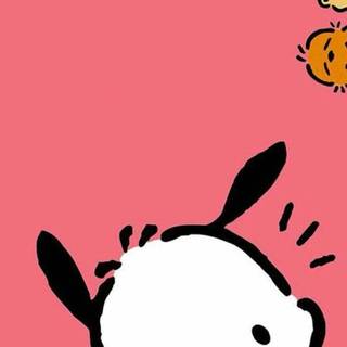 Pochacco and Hello Kitty wallpaper