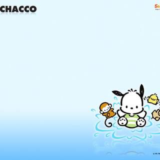 Pochacco and Hello Kitty wallpaper