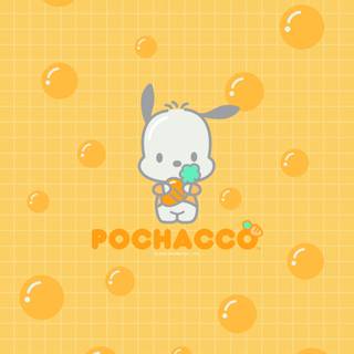 Pochacco and Hello Kitty wallpaper