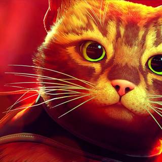Stray Cat game wallpaper