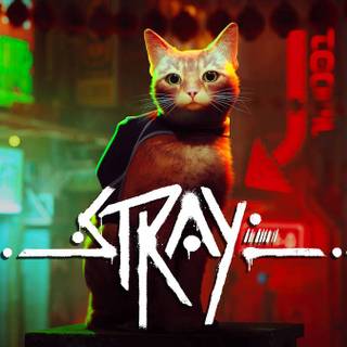 Stray Cat game wallpaper