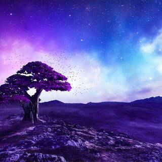 Purple Chromebook wallpaper