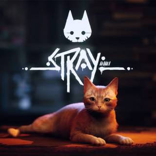 Stray Cat game wallpaper