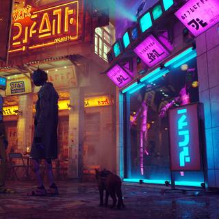 Stray Cat game wallpaper