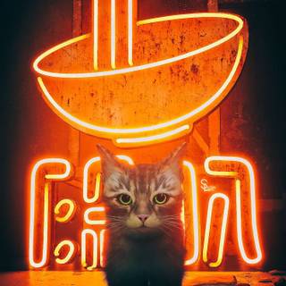 Stray Cat game wallpaper