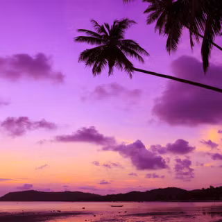Purple Chromebook wallpaper