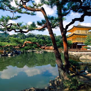 Green Japan wallpaper