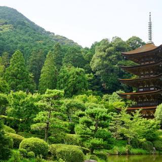 Green Japan wallpaper