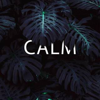 Calm iPhone wallpaper