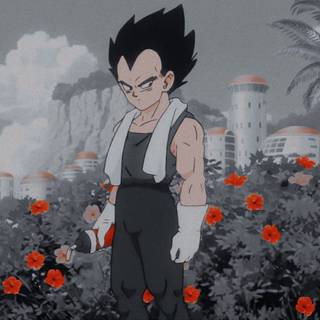 Vegeta aesthetic PFP wallpaper