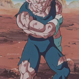 Vegeta aesthetic PFP wallpaper