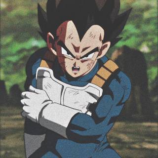 Vegeta aesthetic PFP wallpaper