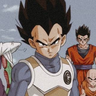 Vegeta aesthetic PFP wallpaper