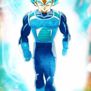 Vegeta aesthetic PFP wallpaper