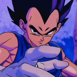 Vegeta aesthetic PFP wallpaper