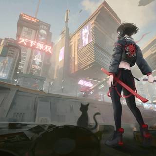 Girls samurai PC wallpaper