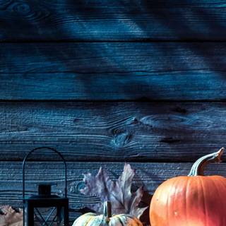 iPhone 15 Pro Max autumn wallpaper