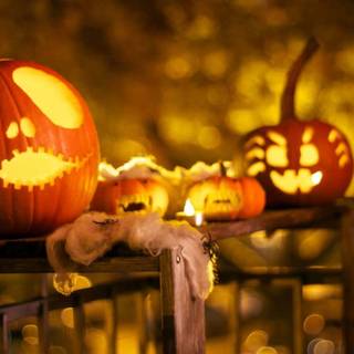 Halloween HD desktop wallpaper