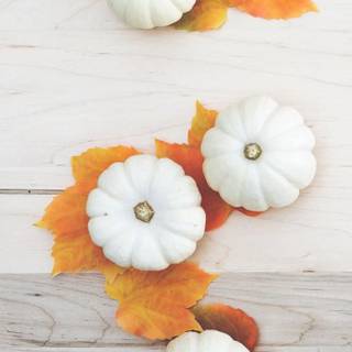 iPhone 15 Pro Max autumn wallpaper