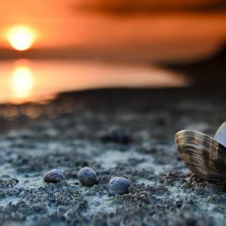 Landscape PC 4k wallpaper