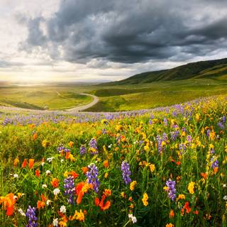 Landscape PC 4k wallpaper