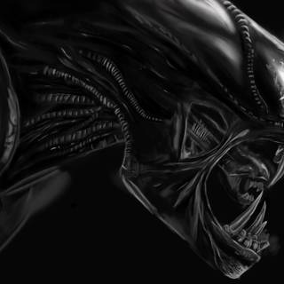 Alien movie 4k wallpaper