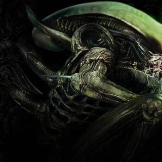 Alien movie 4k wallpaper