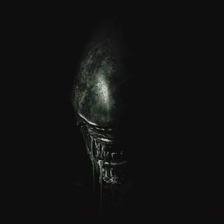 Aliens phone wallpaper