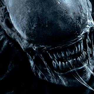 Alien movie 4k wallpaper