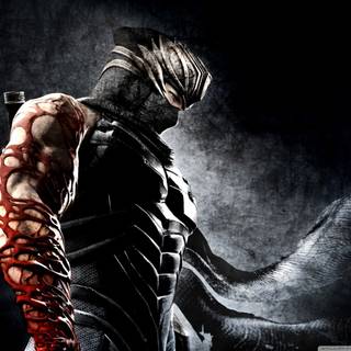 Ninja 1280x1024 wallpaper