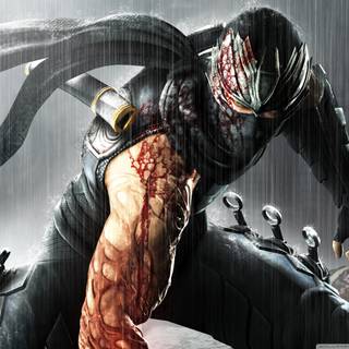 Ninja 1280x1024 wallpaper