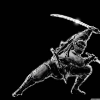 Ninja 1280x1024 wallpaper