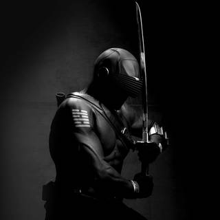 Ninja 1280x1024 wallpaper