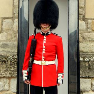 British guard wallpaper