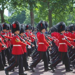 British guard wallpaper