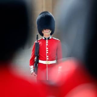 British guard wallpaper