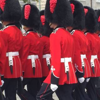 British guard wallpaper