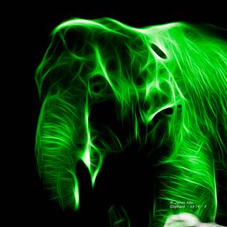 Green elephant wallpaper