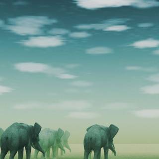Green elephant wallpaper