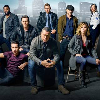 Jay Halstead wallpaper