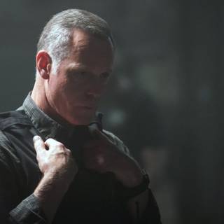 Jay Halstead wallpaper